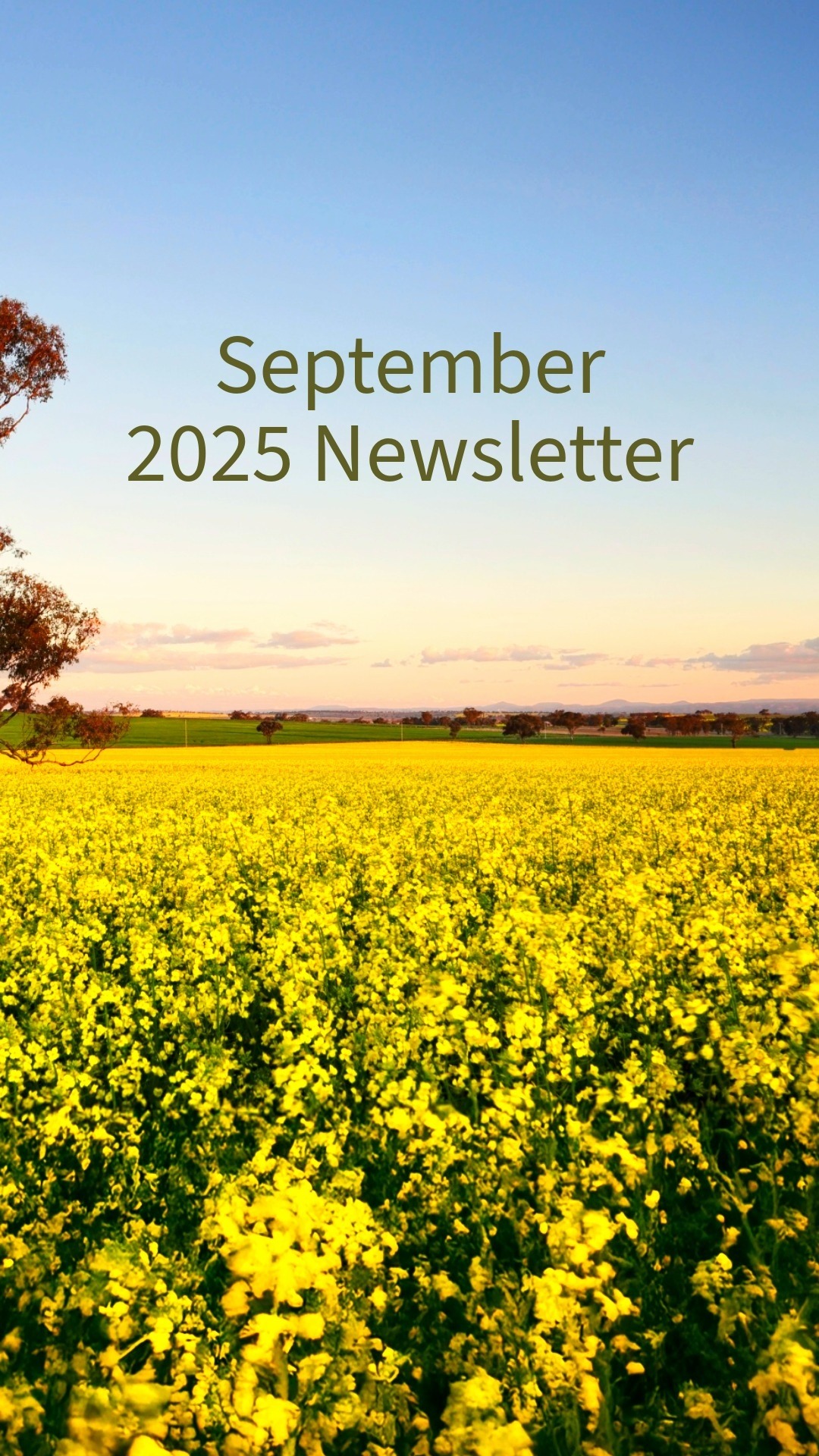 September 2025 Newsletter